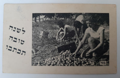 אגרת ברכה שנה טובה. שנת תש"ג 1943. פלשתינה ארץ ישראל.