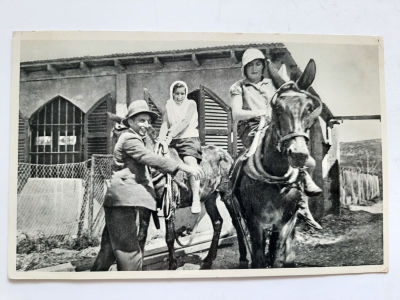 גלויה מוקדמת לא מצויה. בהוצאת פנחסוביץ' - שוורץ תל אביב פלשתינה ארץ ישראל. סביבות 1930-1940. 