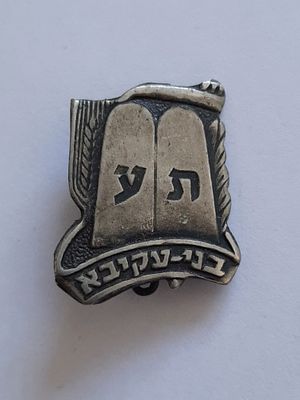 סיכה תנועת הנוער בני עקיבא ישראל.