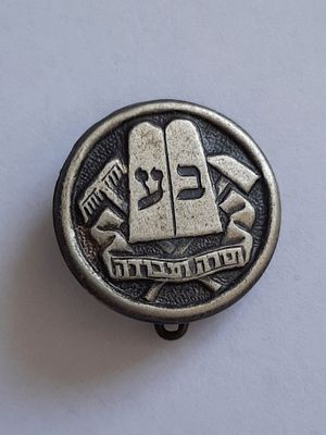 סיכה תנועת הנוער הדתי ציוני בני עקיבא ישראל.