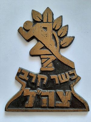 פלק סמל גדול עשוי ברונזה - צה"ל כושר קרבי. גובה כ 12.5 ס"מ.