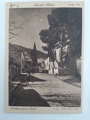 גלויה ישנה ארץ ישראל פלשתינה מסביבות שנת 1920-1930. רחוב בכםר עברי בגליל.