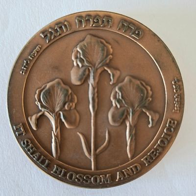 מדליה ברונזה, קוטר 60 מ"מ.