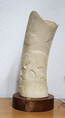 מנורה משן-הב חומר אורגני טבעי! מנורה תקינה לחלוטין. עם חריטות של פיל ודמות , נתון על בסיס עץ 