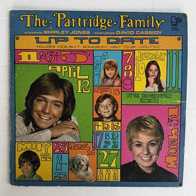 תקליט של סדרת הטלוויזיה משפחת פטרי'ג מצב טוב שריטות קלות