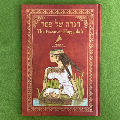 מהדורה מיוחדת של הגדה של פסח המעוטרת בציורים פרי יצירתם של ילדים אוטיסטיים מגן "הסיכוי לחיים" 