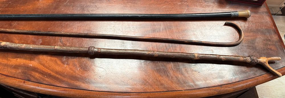 Lot 301: A Trio of Antique and Vintage Walking Sticks including an Ebonised Dress Cane and a Rustic Thumbstick