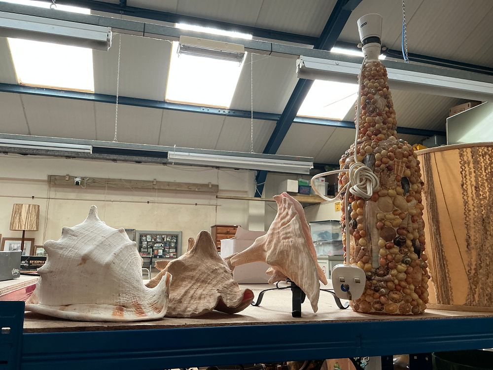 Lot 174: A Shell-Decorated Table Lamp and Three Large Decorative Conch Shells