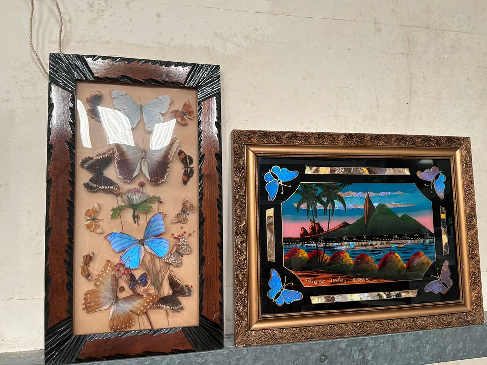 Lot 415: Two Vintage Framed Brazilian Butterfly Taxidermy and Wing Art Displays