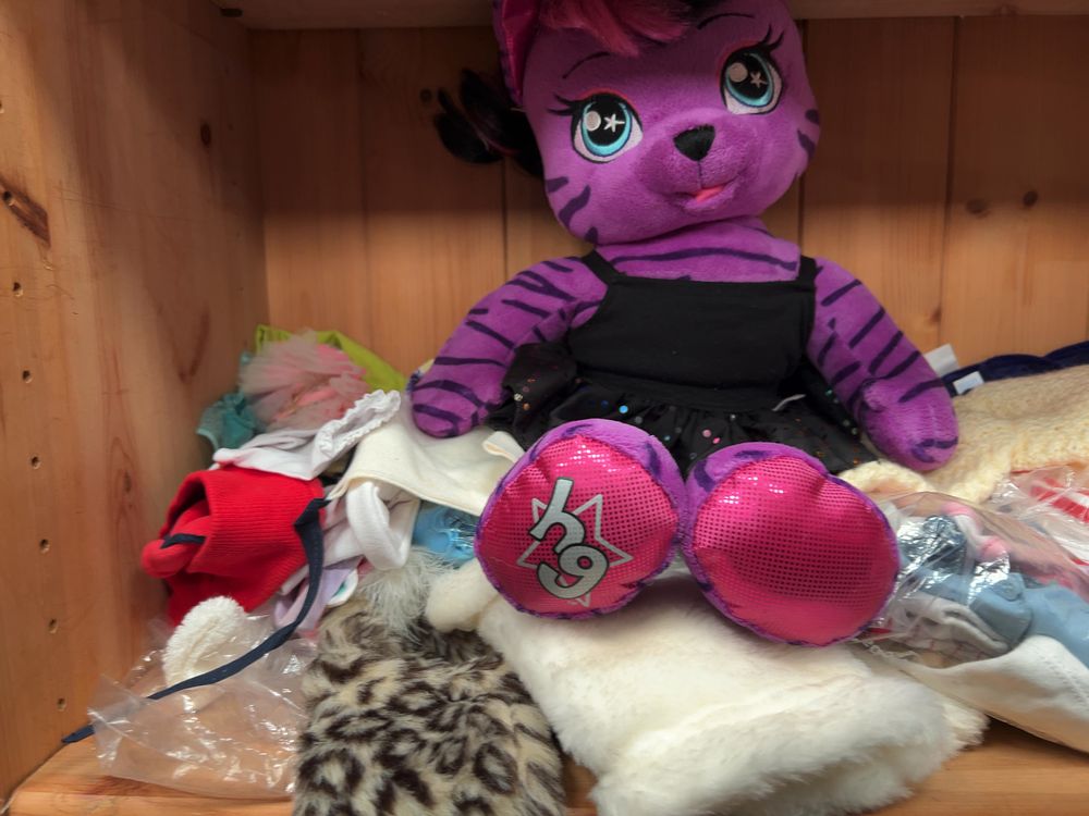 Lot 184: A Collection of Build-A-Bear Workshop Plush Toys and Clothing including Honey Girls Teegan