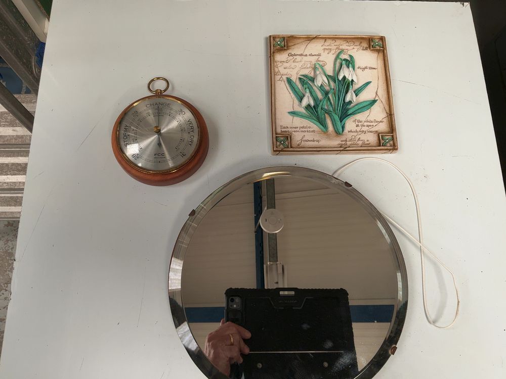 Lot 197: A Trio of Decorative Domestic Items Including an FCC Precision Aneroid Barometer, a Botanical Relief Plaque, and a Bevelled Mirror