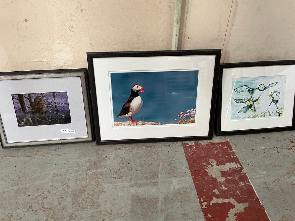 Lot 198: Martin Robertson, Paul Thrush and Another, A Trio of Ornithological Works (Signed)