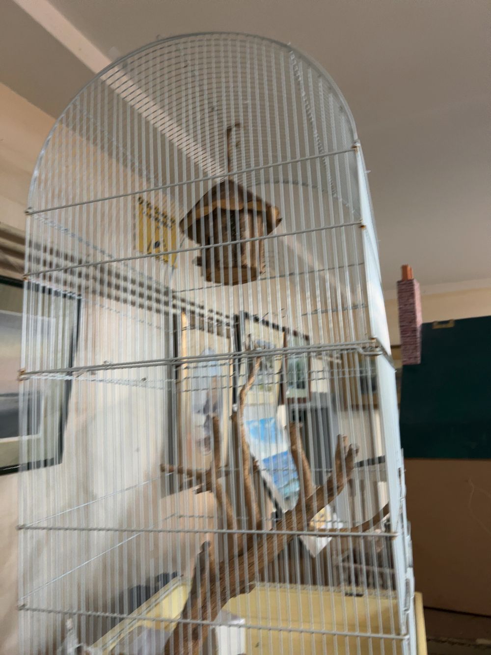 Lot 410: A Large Dome-Top Metal and Plastic Bird Cage with Internal Wooden Fittings