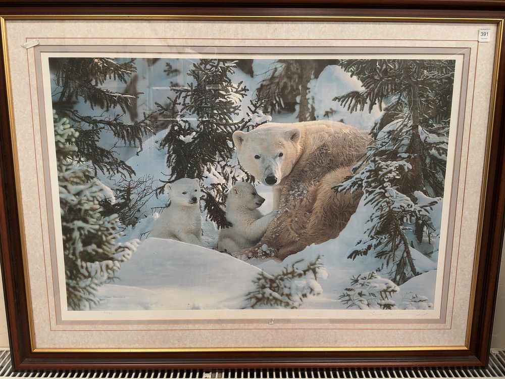 Lot 391: A Signed Steven Townsend Limited Edition Wildlife Print Titled Warmth of Nature