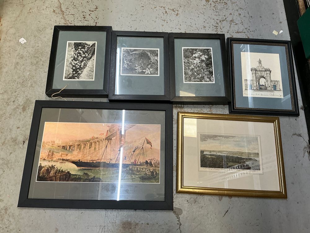 Lot 262: A Collection of Framed Maritime Prints and Botanical Photographs Including C. Allen