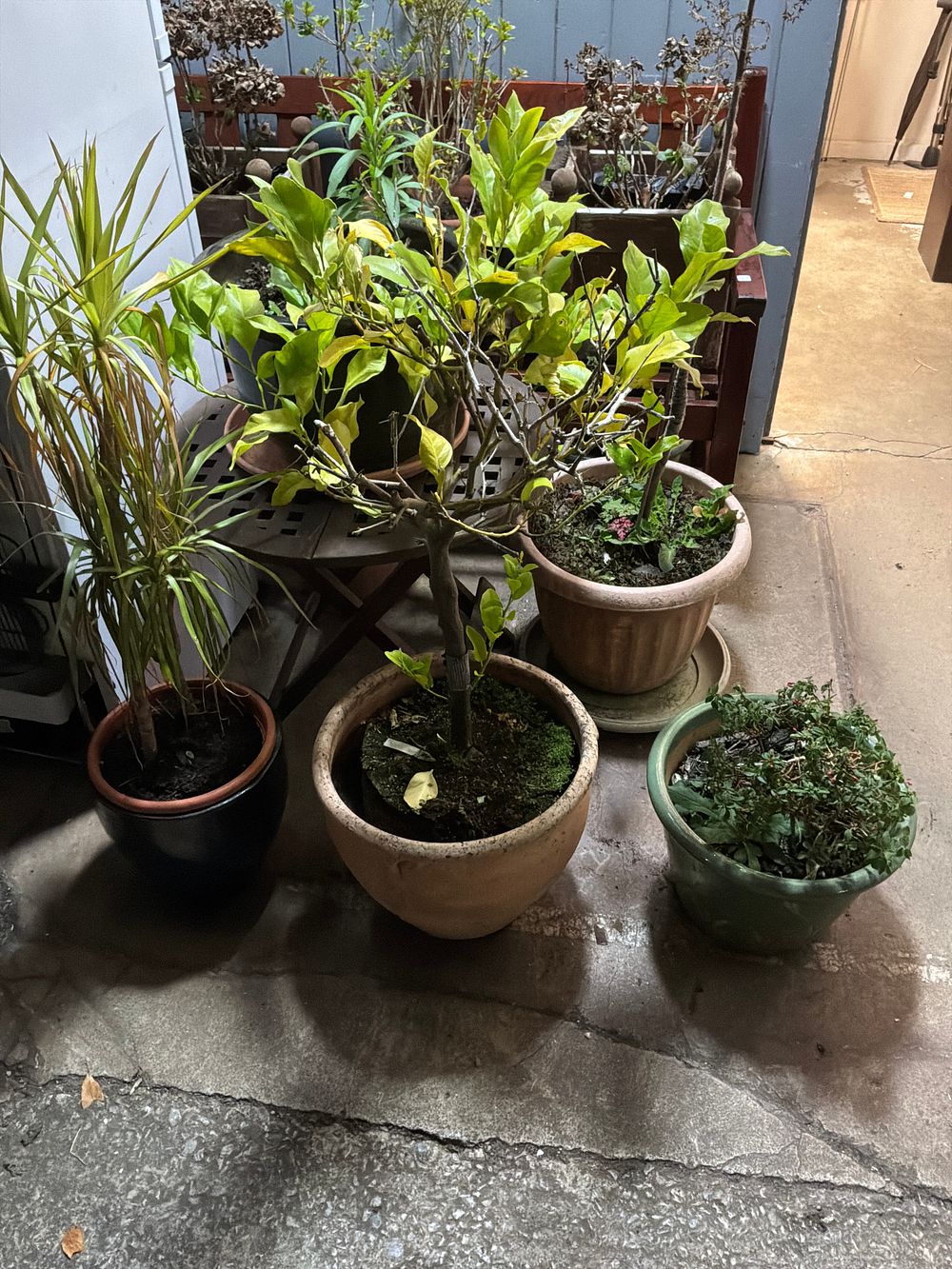 Lot 549: A Collection of Assorted Garden Planters