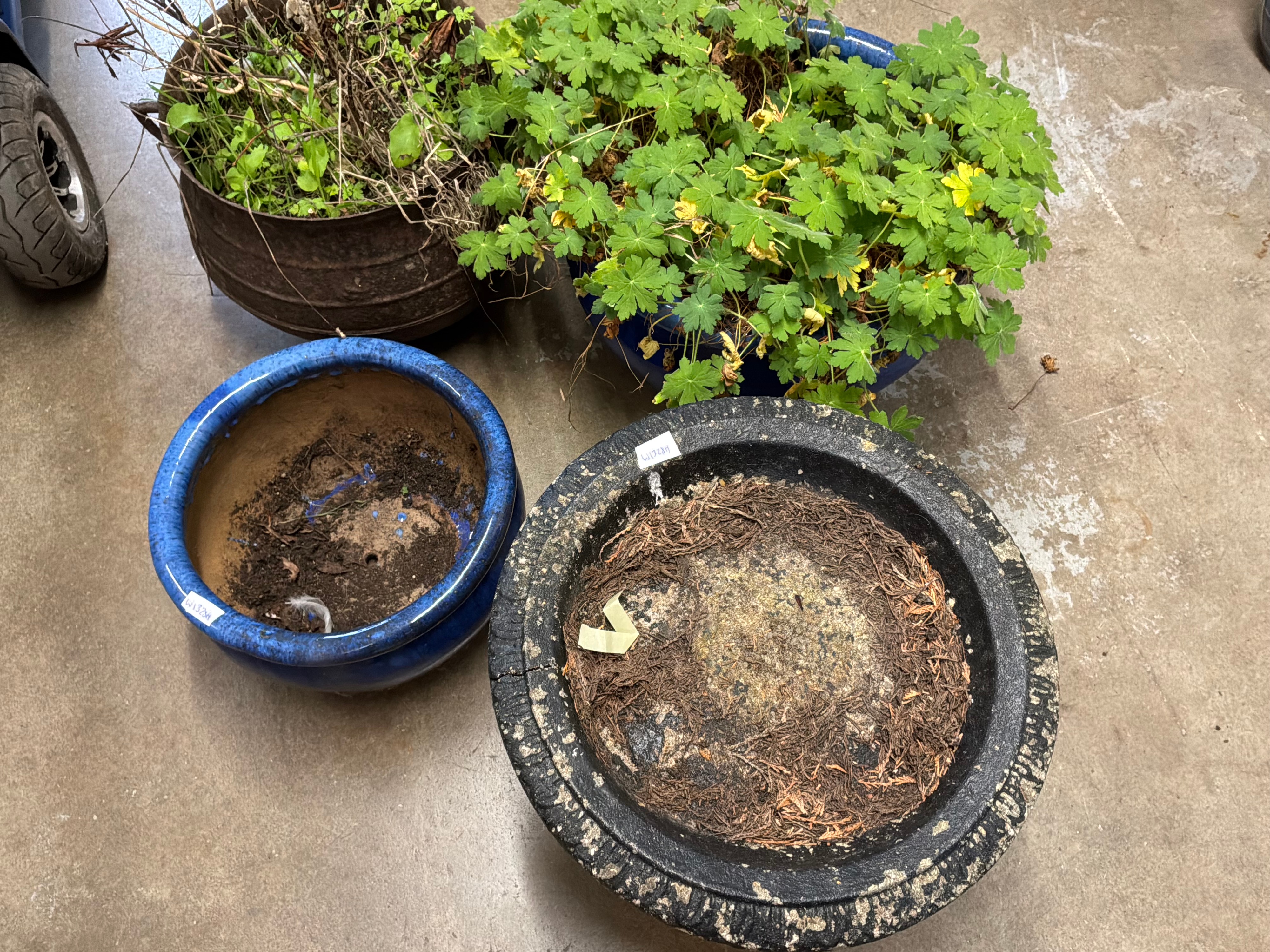 A Collection of Glazed Ceramic and Weathered Stone style Outdoor Planters including a Cast Iron Pot