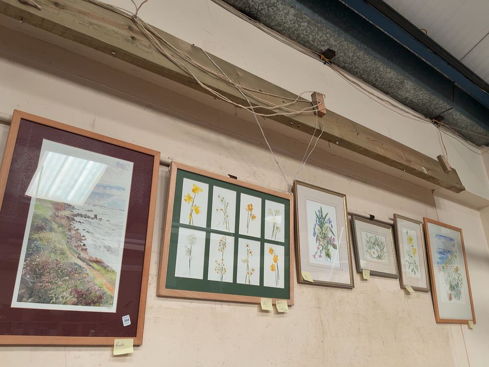 Lot 394: A Collection of Botanical and Coastal Landscape Watercolours Including Examples by Peggy Allen, Nan Heath, and Stephen Morris