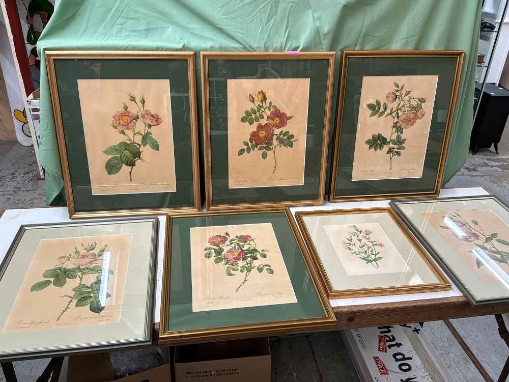 Lot 64: A Collection of Seven P. J. Redouté style Botanical Prints