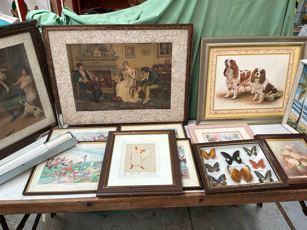 Lot 85: A Collection of Framed and Unframed Prints and a Butterfly Specimen Display including P. Portugal and Robert J. May Examples