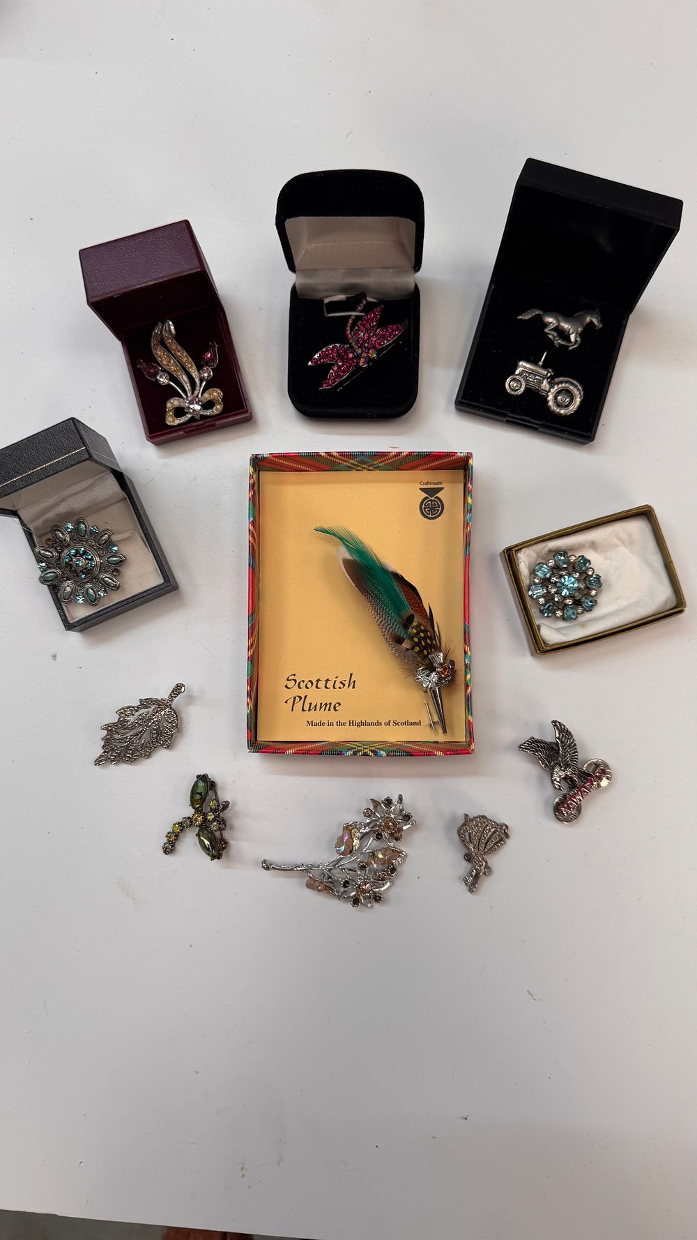 Lot 272: A Collection of Twelve Vintage Costume Jewellery Brooches and Pins with Presentation Cases