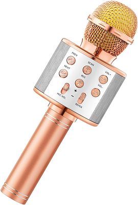 Handheld KTV Wireless Microphone with HiFi Speaker