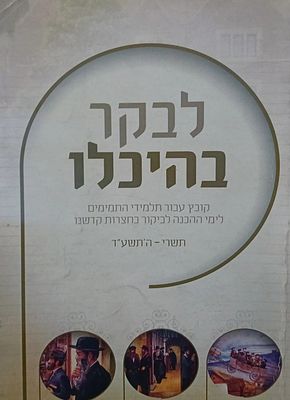 לבקר בהיכלו - קובץ עבור תלמידי התמימים לימי ההכנה לביקור בחצרות קדשנו. קובץ מקיף על נושא 