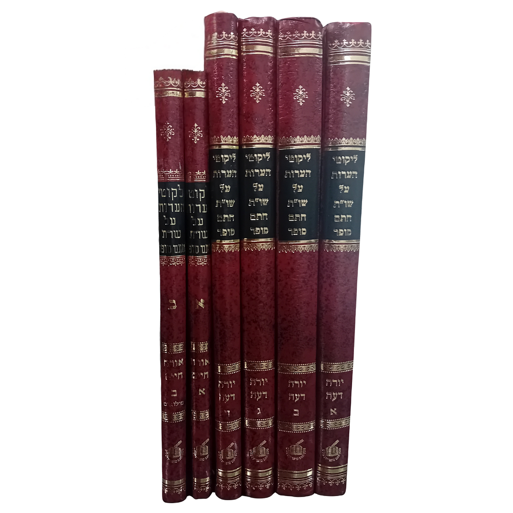 סט ליקוטי הערות על שו"ת חתם סופר. 
ספר לקוטי הערות על ספרי תשובות חתם סופר - לוקט, נערך 