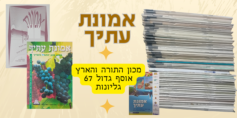 אוסף ענק ומיוחד של כתב העת "אמונת עתיך" בהוצאת מכון התורה והארץ. סך הכל 67 גליונות. 
הלוט 
