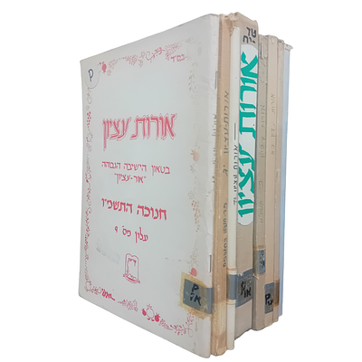 לוט 10 כרכי כתב העת התורני אורות עציון - בטאון הישיבה הגבוהה אור עציון. 
בין הכותבים: הרב חיים 