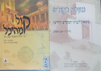 לוט 2 כרכים של כתבי עת על הר הבית ובית המקדש. 
* קול מהיכל - הר הבית והמקדש בזמן הזה - התכתבות 