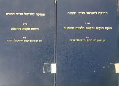 לוט 2 כרכים החוקה לישראל על פי התורה: הרב יצחק אייזיק הלוי הרצוג. 
כרך ב - הצעת תקנות 