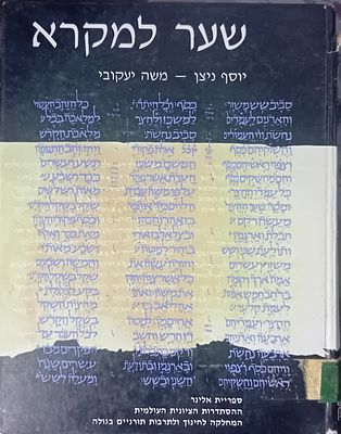 שער למקרא - יוסף ניצן ומשה יעקובי. 
מיוחד מאוד!
עוסק בין היתר במסורה, בכתבי היד 