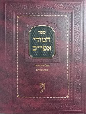 ספר חמודי אפרים - שאלות ותשובות, סוגיות הש"ס. 
שאלות ותשובות וחידושי סוגיות שכתב רבי חיים 