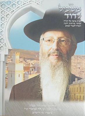 חדש! 
*משכיל לדוד* - תולדות רבי דוד שניאור זצ"ל 
מצפרו עד ירושלים. 