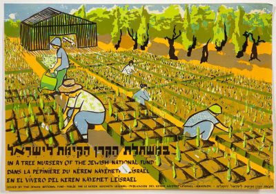 כרזת קק"ל - במשתלת הקרן הקיימת. כרזה ישראלית משנות ה-60: 
'במשתלת הקרן הקיימת לישראל'- בהוצאת 