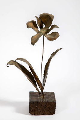 פרח פרזול. גובה 35 ס"מ