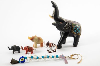 לוט פילים . גובה 2-15 ס"מ