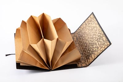 אוגדן הרמוניקה עם תוי מס קניה. 25x15 ס"מ