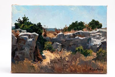 רוברט רוזנברג (נ. 1962) - סלעים בחוף דור. שמן על קנבס מתוח