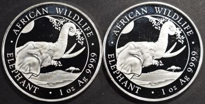 (2) 1 OZ .999 SILVER 2023 SOMALIAN ELEPHANT ROUNDS. WEEKLY COIN & CURRENCY AUCTIONS ESTIMATE $80 