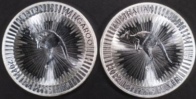 (2) 1 OZ .999 SILV 2022 AUSTRALIAN KANGAROO ROUNDS. WEEKLY COIN & CURRENCY AUCTIONS ESTIMATE $80 