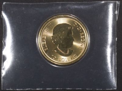2018 CANADA $10 1/4 OZ GOLD BUFFALO. TOP RATED AUCTION HOUSE ESTIMATE $600 - $700.