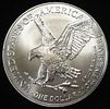 2024 AMERICAN SILVER EAGLE. TOP RATED AUCTION HOUSE ESTIMATE $110 - $160.Image - 1