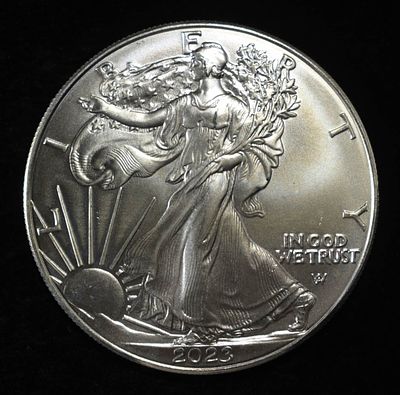 2023 AMERICAN SILVER EAGLE. LEADERS IN ON-LINE AUCTIONS ESTIMATE $130 - $180.