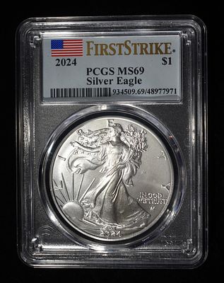 2024 AMERICAN SILVER EAGLE PCGS MS69. WEEKLY COIN & CURRENCY AUCTIONS ESTIMATE $110 - $160.