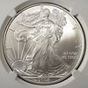 2008 AMERICAN SILVER EAGLE NGC MS69. TOP RATED AUCTION HOUSE ESTIMATE $100 - $150.Image - 1