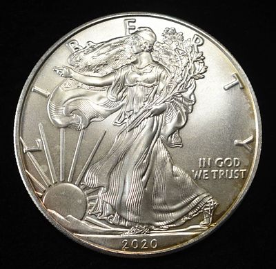 2020 AMERICAN SILVER EAGLE. BID WITH SILVER CITY AUCTIONS ESTIMATE $110 - $160.