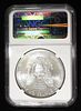 2013 AMERICAN SILVER EAGLE NGC MS69. BID WITH SILVER CITY AUCTIONS ESTIMATE $120 - $170.Image - 3