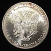 2003 AMERICAN SILVER EAGLE. CHECK OUT OUR UPCOMING AUCTIONS ESTIMATE $110 - $160.Image - 1